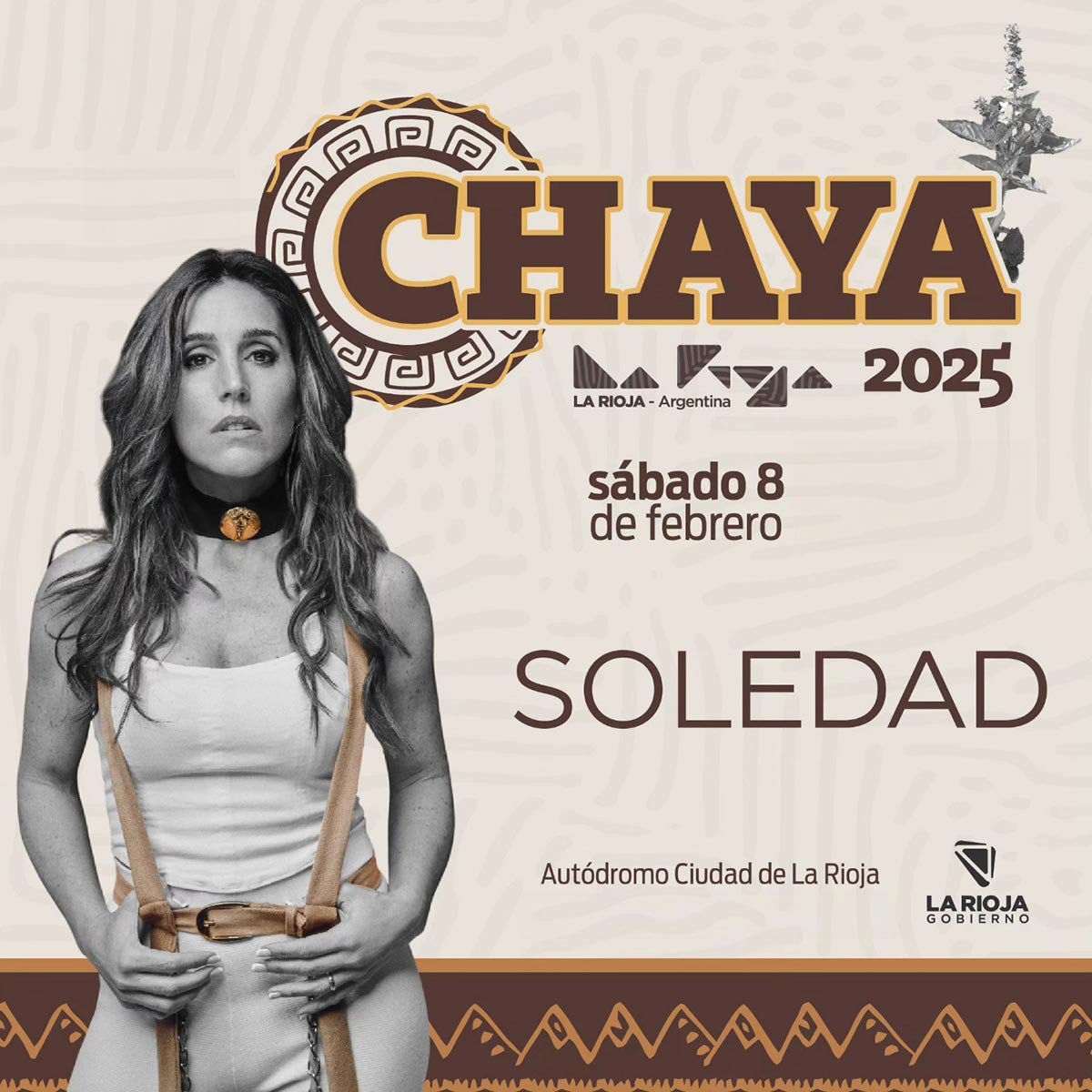Grilla Artistas Fiesta de la Chaya sábado 8 de febrero de 2025